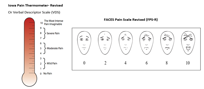 Selected Pain Tools